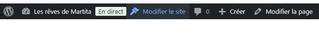 Accès a l'éditeur de site dans la barre horizontale d'administration